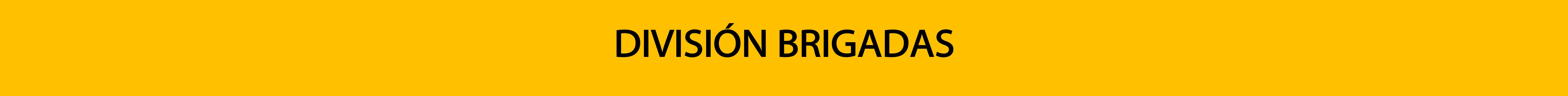 Brigadas